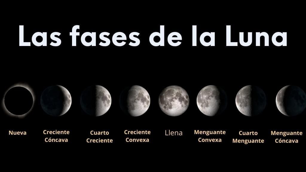 Las 8 FASES De La Luna Aprende TODO Sobre El Ciclo Lunar