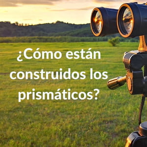 Partes de los binoculares: ¿Cómo funcionan los prismáticos? 14 Imagen en el campo de unos binoculares sobre trípode y la pregunta: ¿Cómo están construidos los prismáticos?