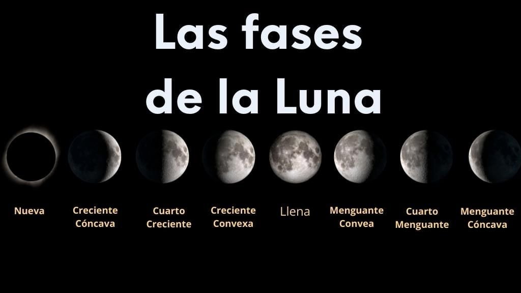 Las 8 FASES de la Luna Aprende TODO sobre el ciclo lunar